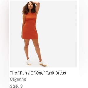 Everlane Party of One Dress size S